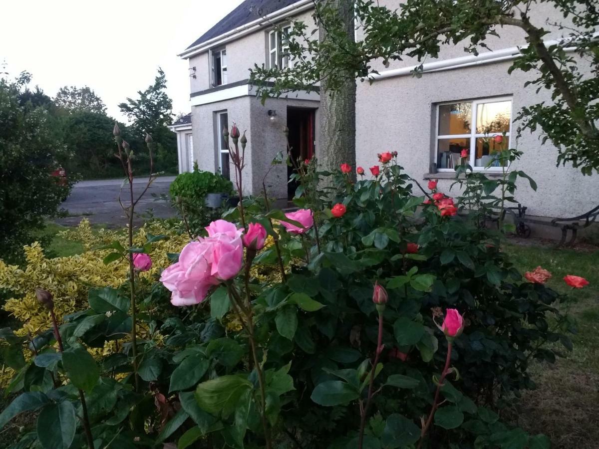 Bed and Breakfast Lisieux House On Lough Neagh Aghalee Екстер'єр фото
